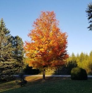 Meet your Posher, Jenn